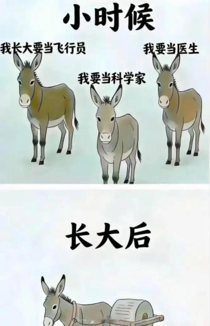 看到自己的上限以后，就不再幻想了 