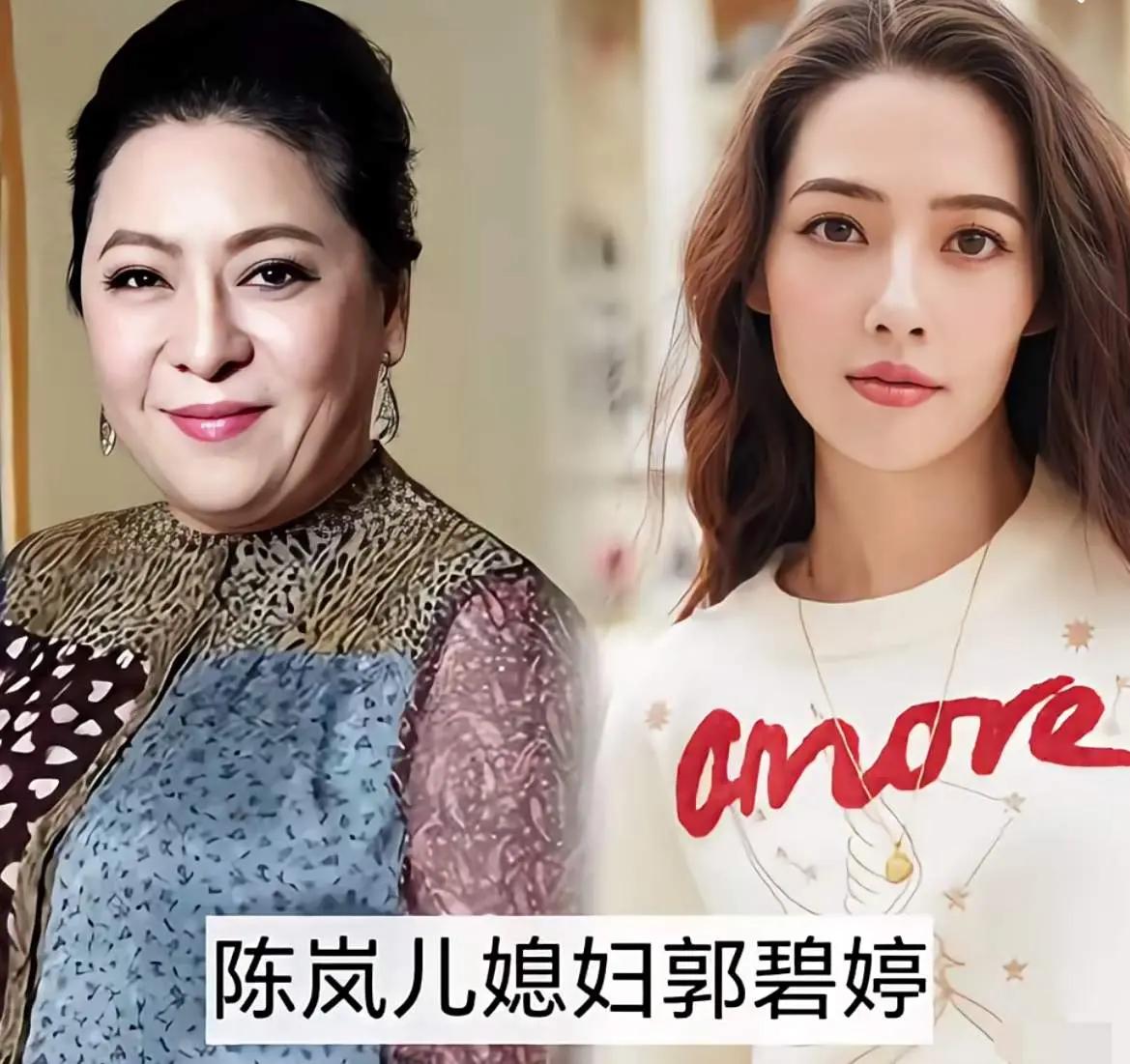 盘点娱乐圈神仙婆媳组合！十位明星婆媳各有风情，颜值气场不分上下，端庄又养眼，你最