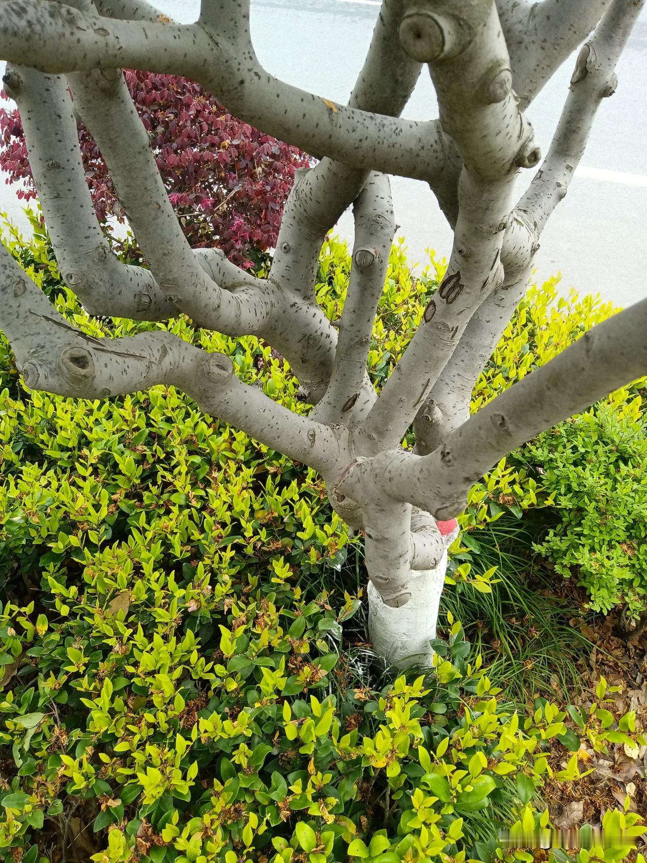 “解套”是什么感觉？

忍了三年多，亏了5000多。一直没卖，通过不断买进、卖出