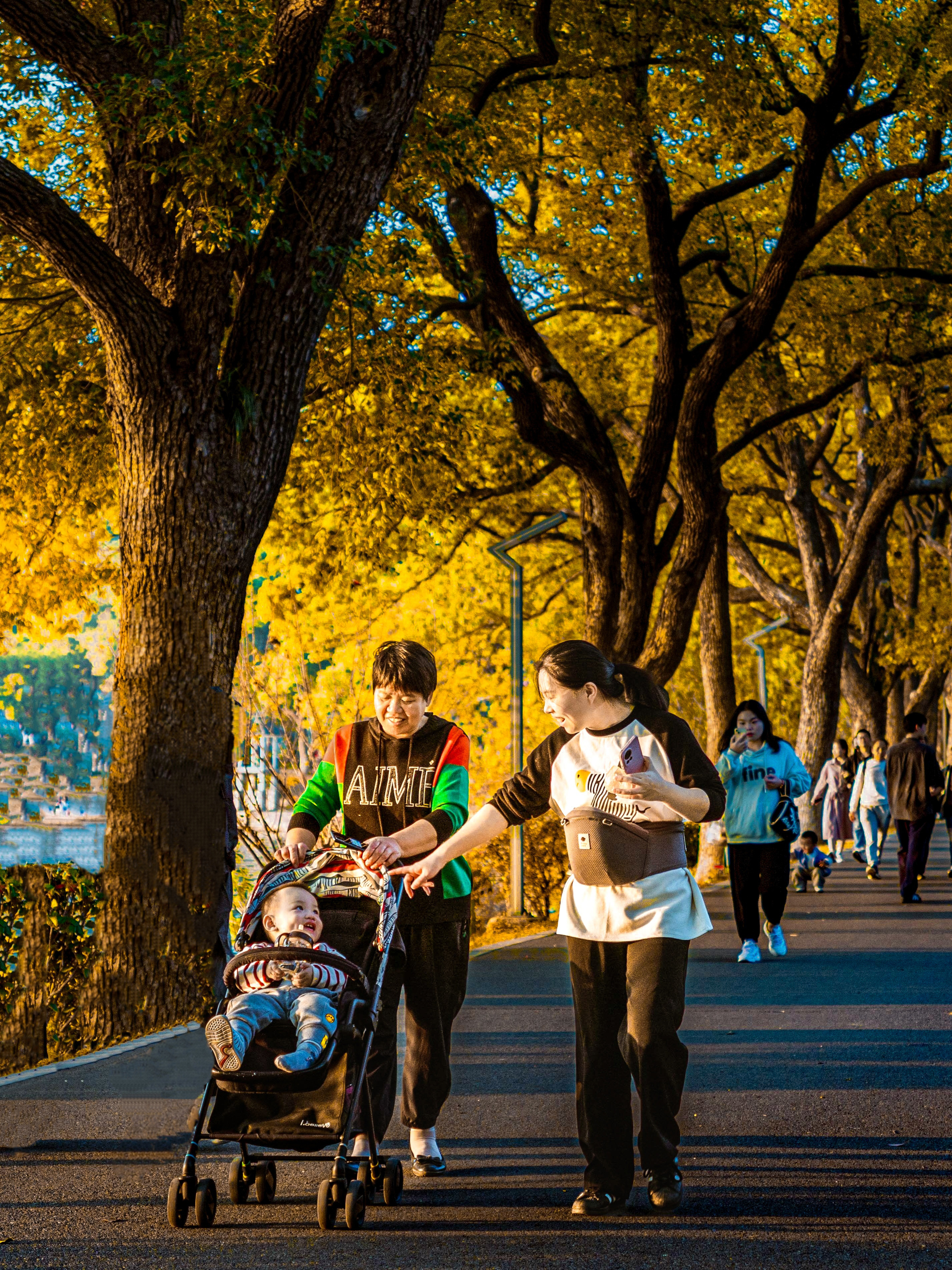 【长沙的银杏是秋天写给城市的金色情书】同城热点创作计划 长沙烈士公园的银杏，是秋