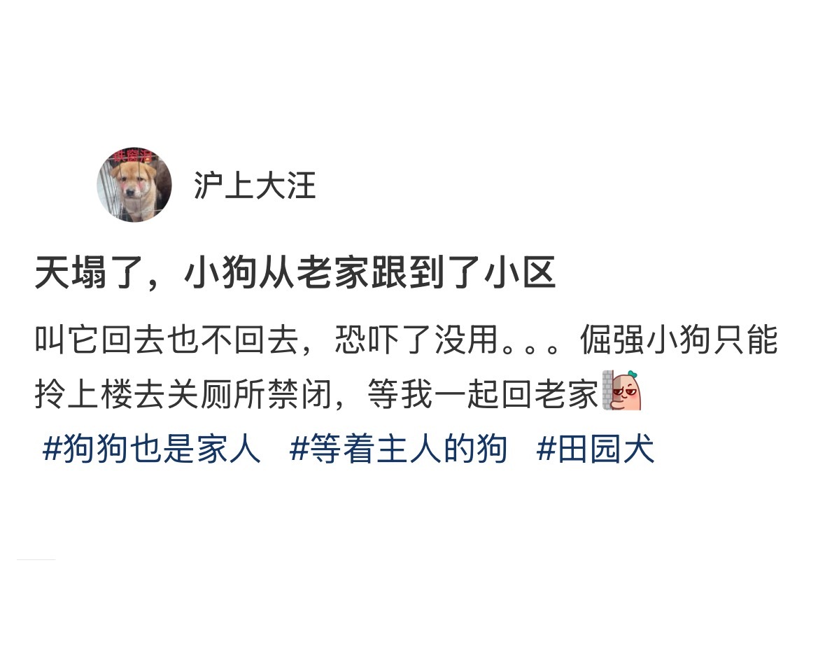 小狗从老家跟到了主人小区[悲伤] ​​​