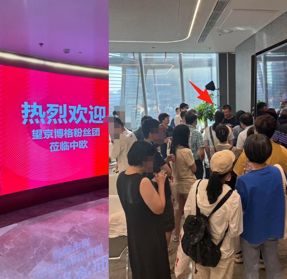 被包围了！说赶飞机才放我走~周六上午博格特意更新周报，发现周盈利21万，算是历史