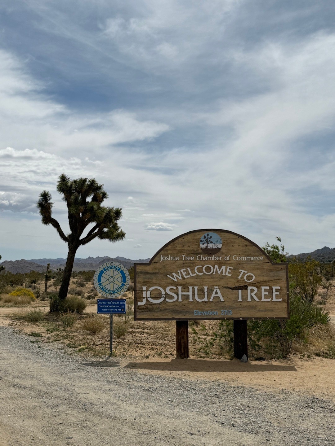 Joshua Tree🏜️🌵第一次看沙漠景观 和想象中很不一样！住到了漂亮民