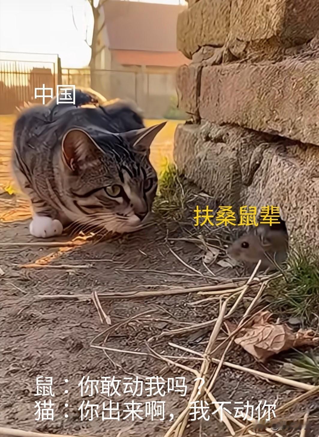 致命一击：敢出来就让你有来无回，