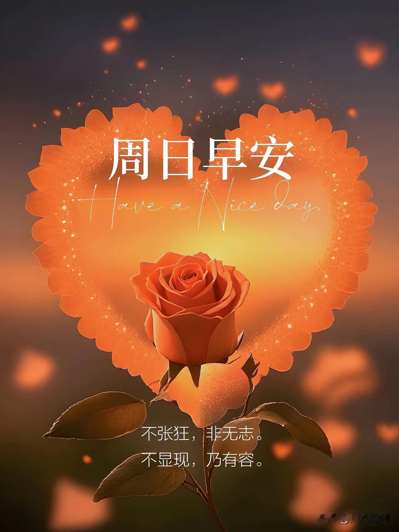 周日的早安，不必匆忙，不用紧张。
不用催促赶路，不用追赶时光。
一句简单问候，藏