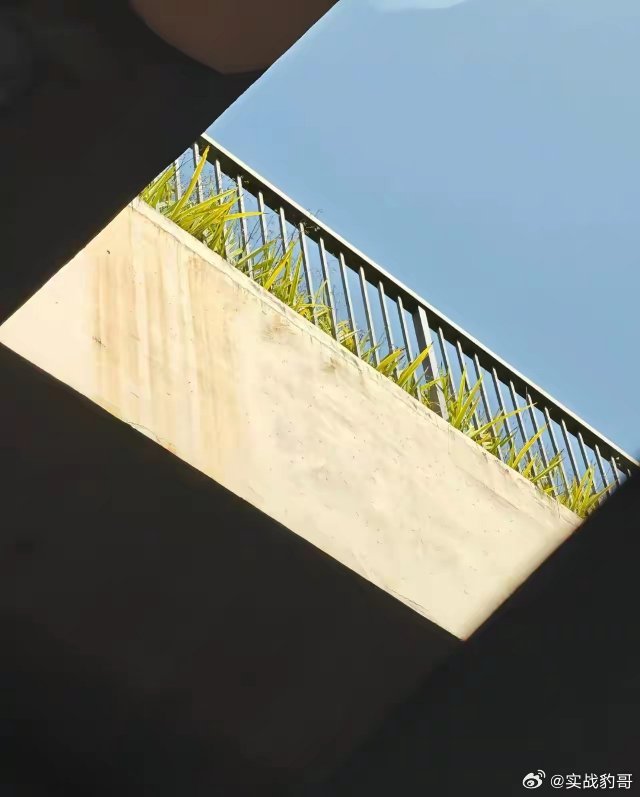 炸了！今晚8点央视315晚会开锤！四大重灾区全曝光，黑心商家瑟瑟发抖！来了来了！