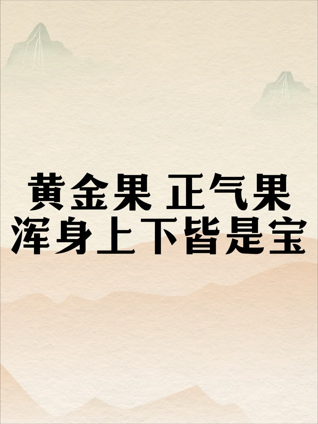黄皮全身上下皆可入药