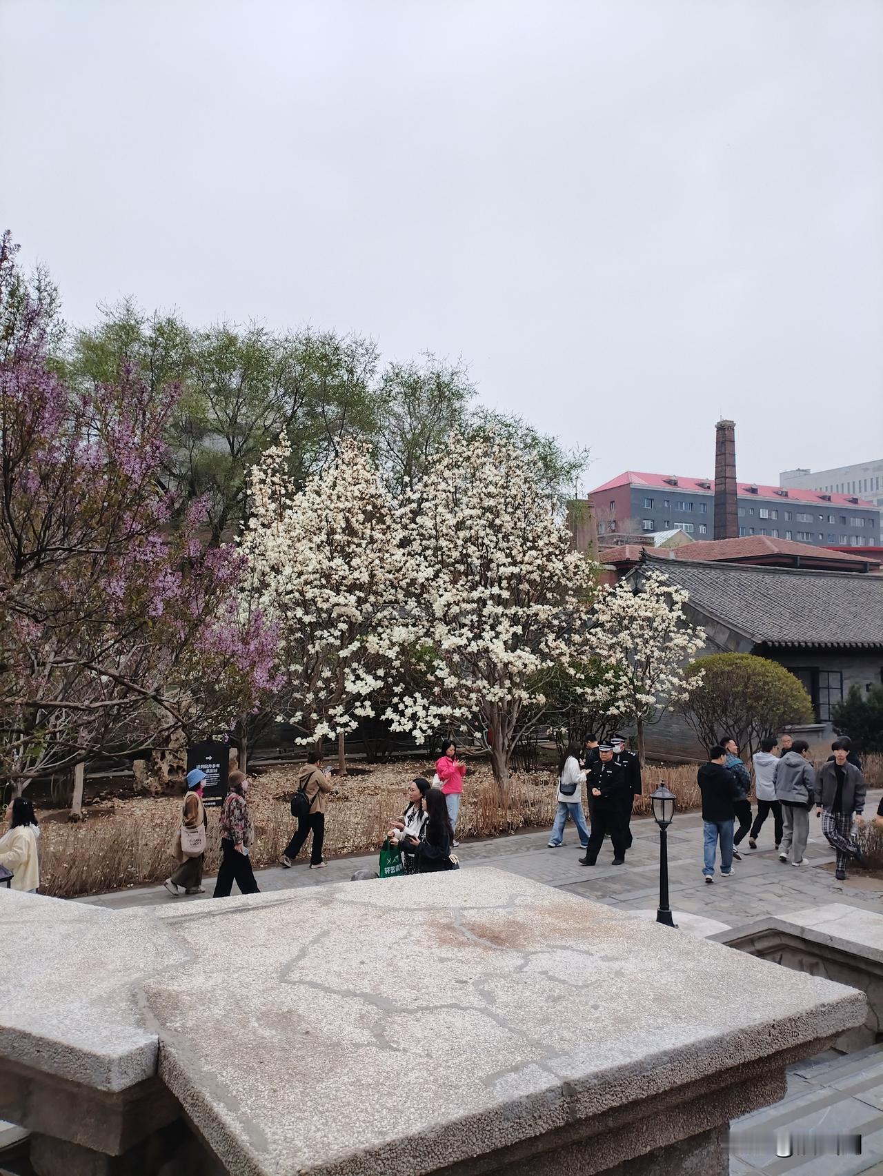 重游大帅府，伤感忆从前！二十年前我和初恋来这玩，那时真穷，买了门票，都没下馆子钱