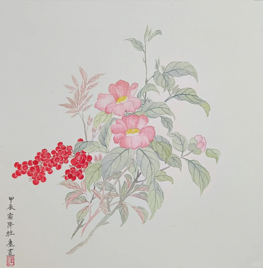 没骨画‖红豆杉，山茶花，含步骤图