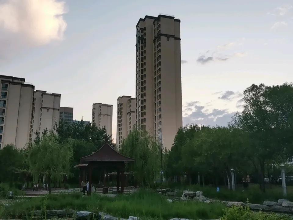 夕阳西下，天地之间交相辉映，是不是真的很美！逆光下的树叶 绿植照 树枝照片 老树