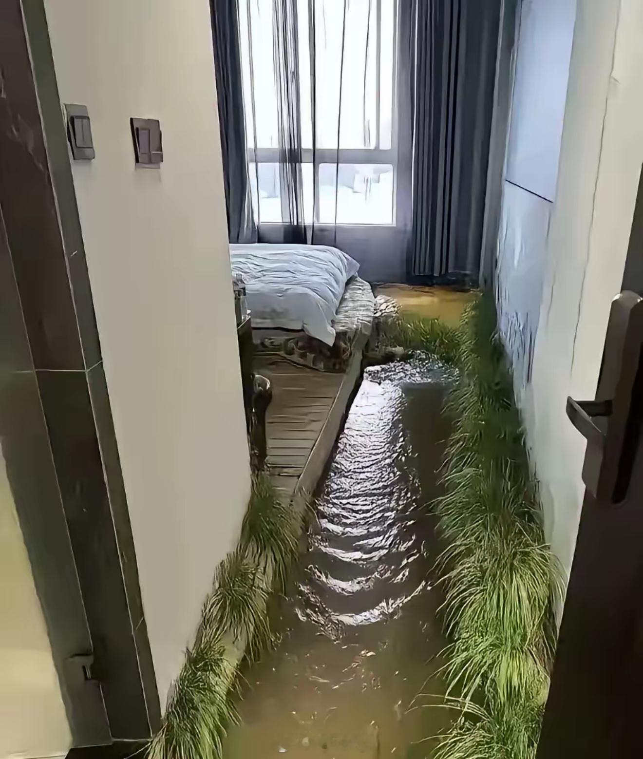 第一次见这样的民宿 