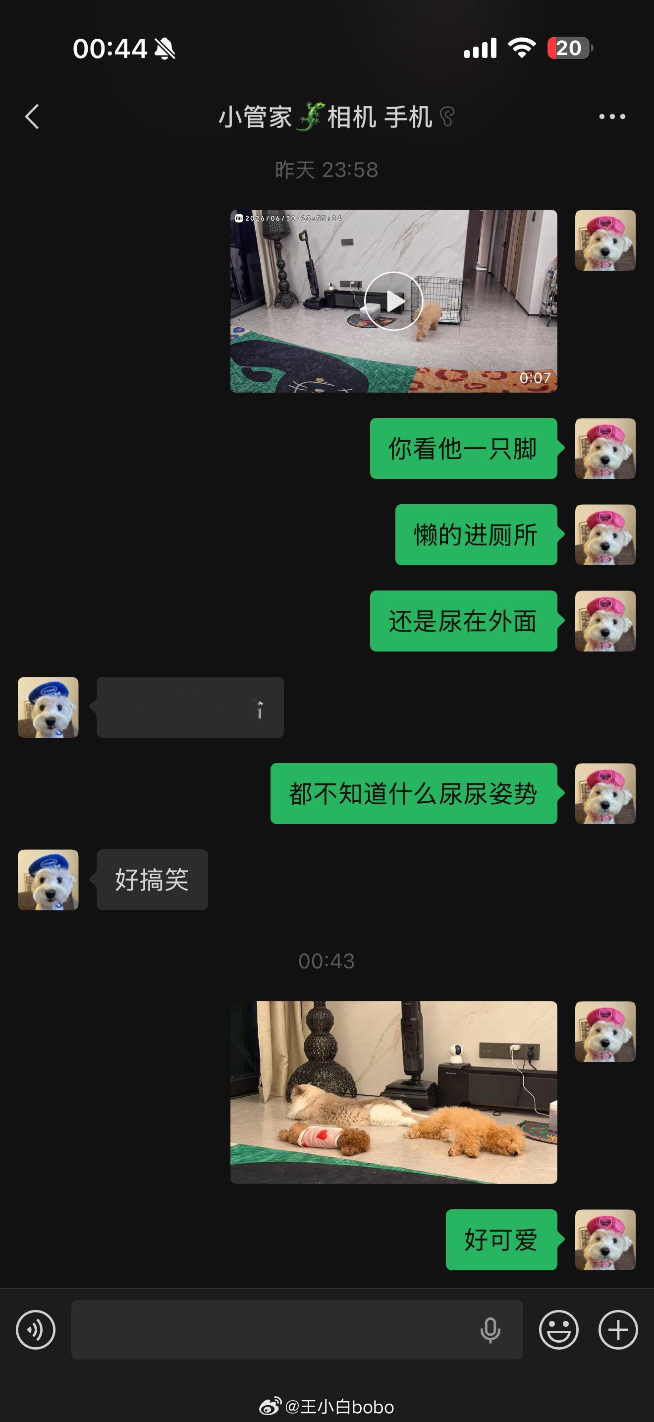太可爱了 要老命了呜呜和管家像中年夫妻 话题只有孩子