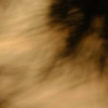 知识给人以爱，给人以光明，给人以智慧，应该说知识就是幸福，因为有了知识，就是摸到
