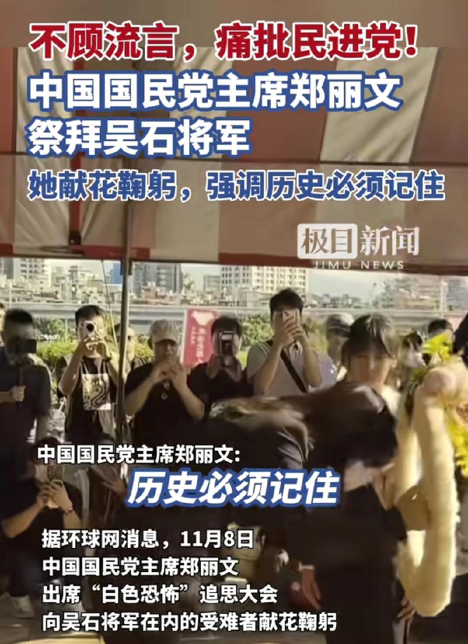 最近，台湾政坛又起波澜。

中国国民党主席郑丽文在11月8号出席了台北的一场白色