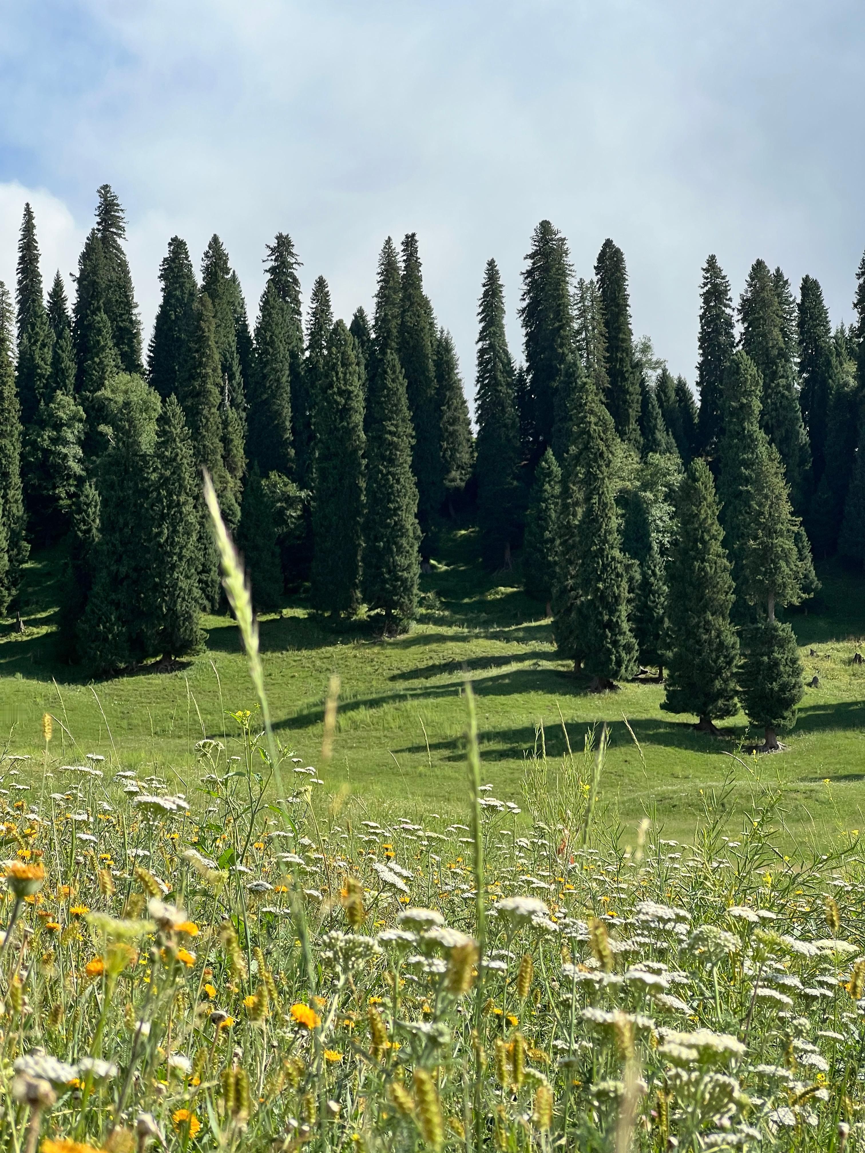 刷到一个博主说，闭着眼睛左右转动眼球1分钟左右，就能很快入睡，而且能一觉睡到大天