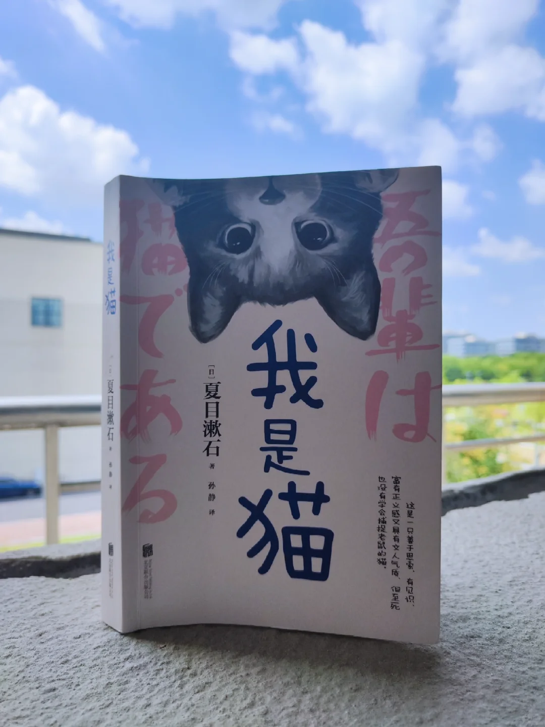 第562本：夏目漱石，您没必要写到34万字！