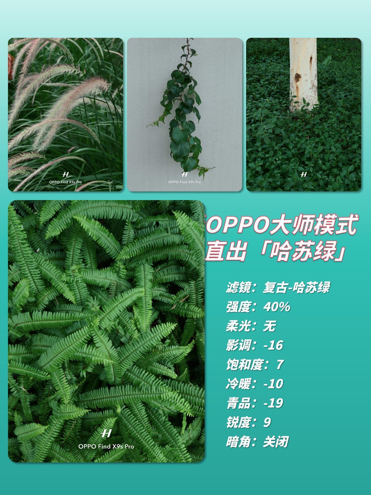 想用手机拍出哈苏绿氛围大片吗？我终于摸透OPPO的“哈苏绿”密码了！试了下用Fi