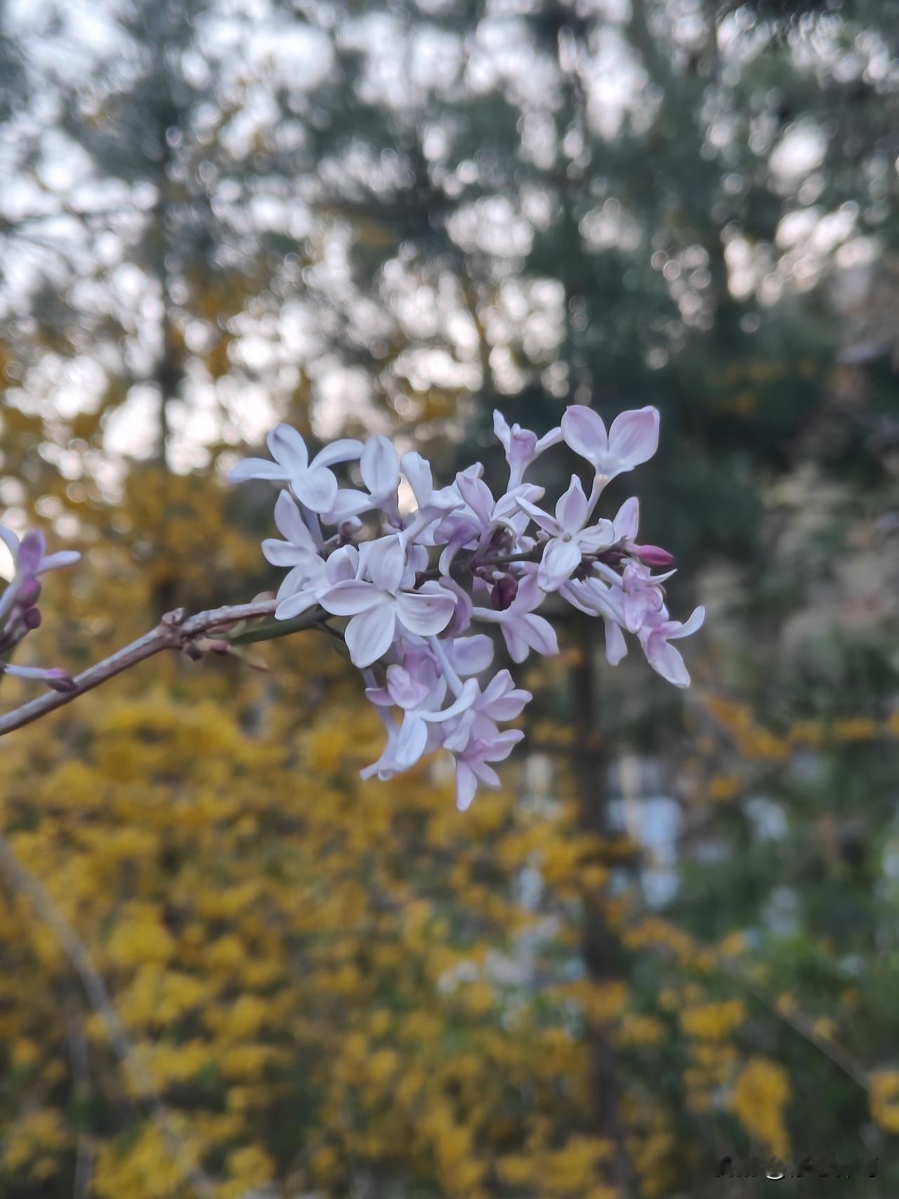 唇亡齿寒，相知相伴
 今日读《左传》唇亡齿寒的故事，心生许多感触。
晋国两次向虞