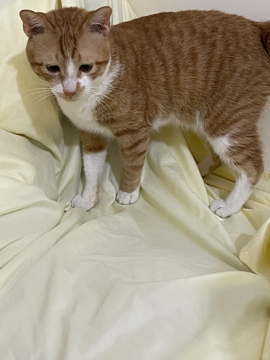 可爱宝宝