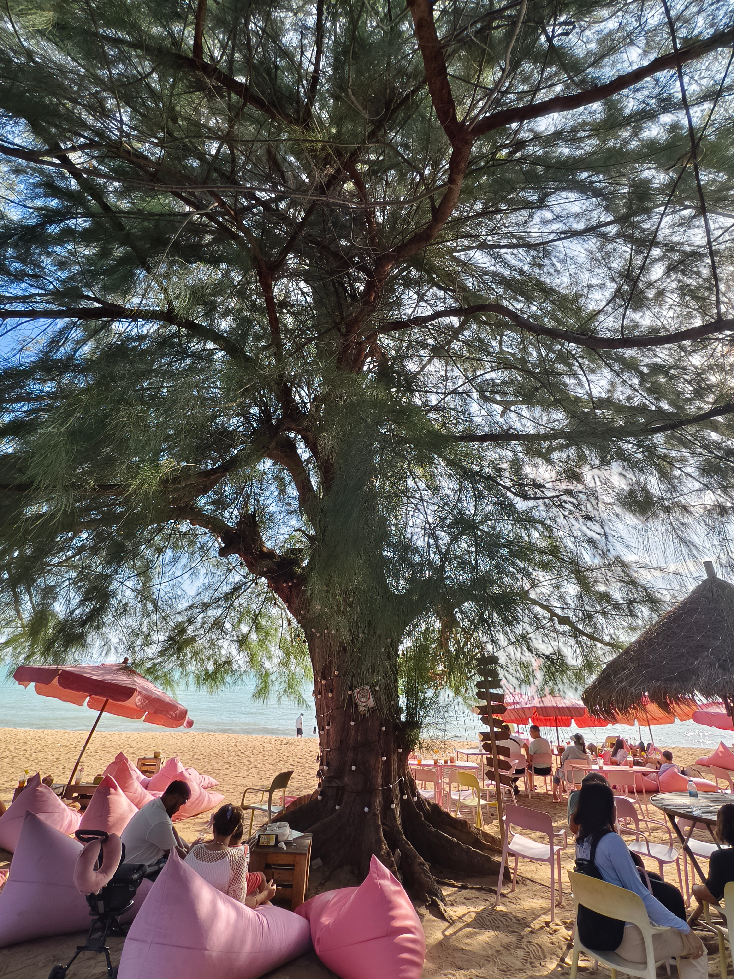 下午四点，来到乔木提恩海滩（Na Jomtien Beach），坐在大松树下，遥