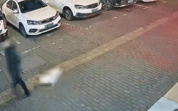 2026年江西新余首例！
遛狗不拴绳致过路人被咬伤，结果行政处罚为罚款200元，