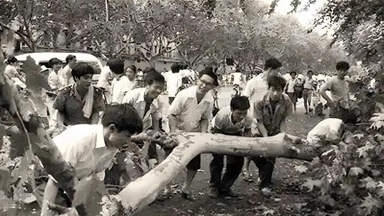 1988年8807号台风，老杭州人心中难以忘怀的噩梦

说起台风，老一辈杭州人最