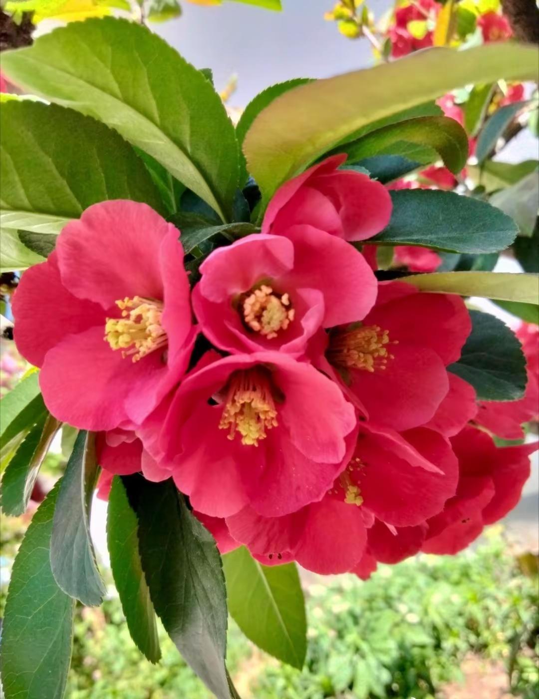 改掉不良饮食习惯，养出好身体
 
一、戒掉「吃太快」的急脾气，给肠胃留活路
 