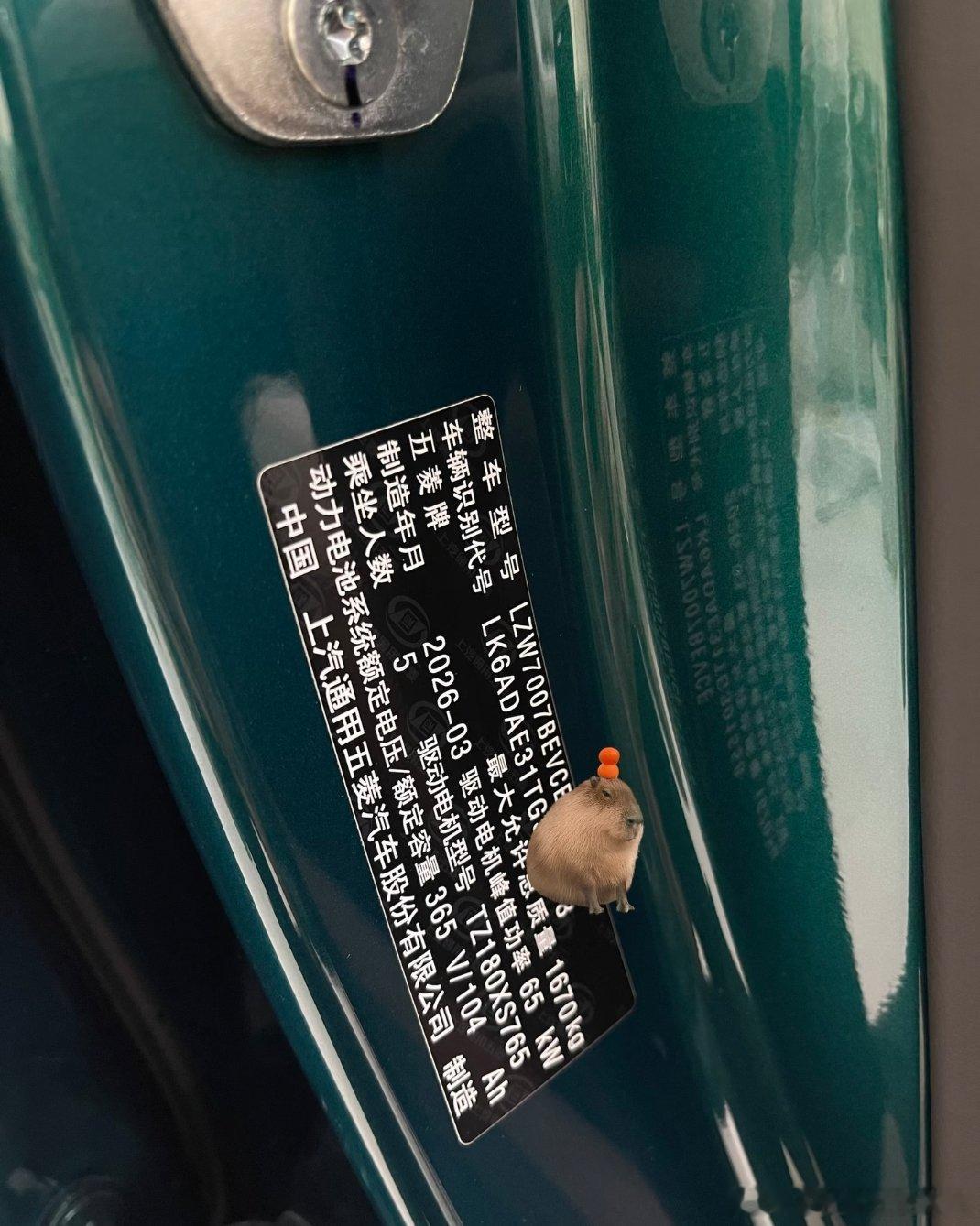 冷知识 五菱缤果PRO403续航是400V平台而且有2C快充定位：接替四座缤果成