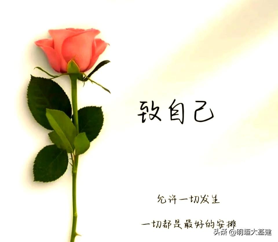 我对人生的感悟：

1. 不刻意，但要努力。
      刻意是强求结果、违背本