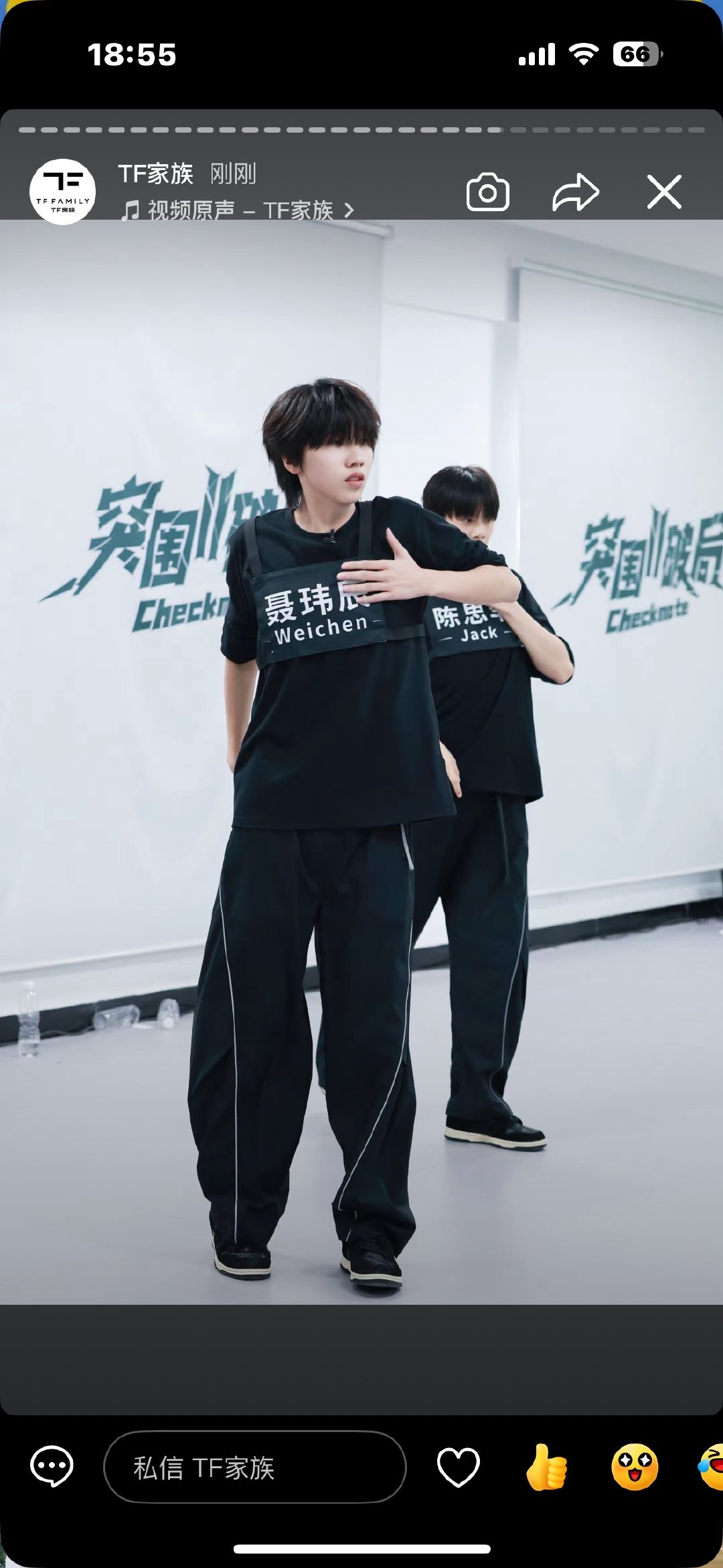 磕了吃了吐了99 