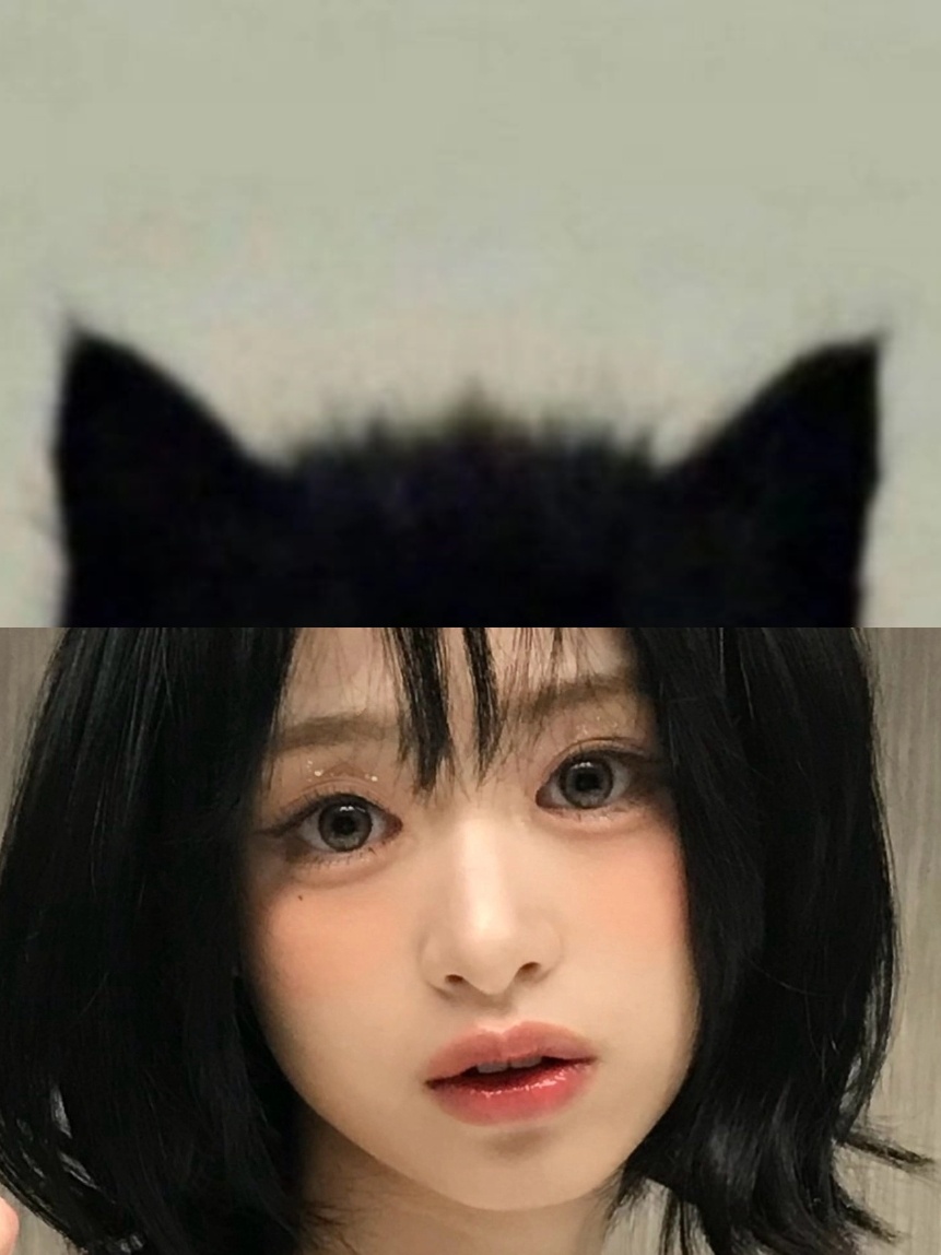 人生真是喵喵又咪咪呀🐱 