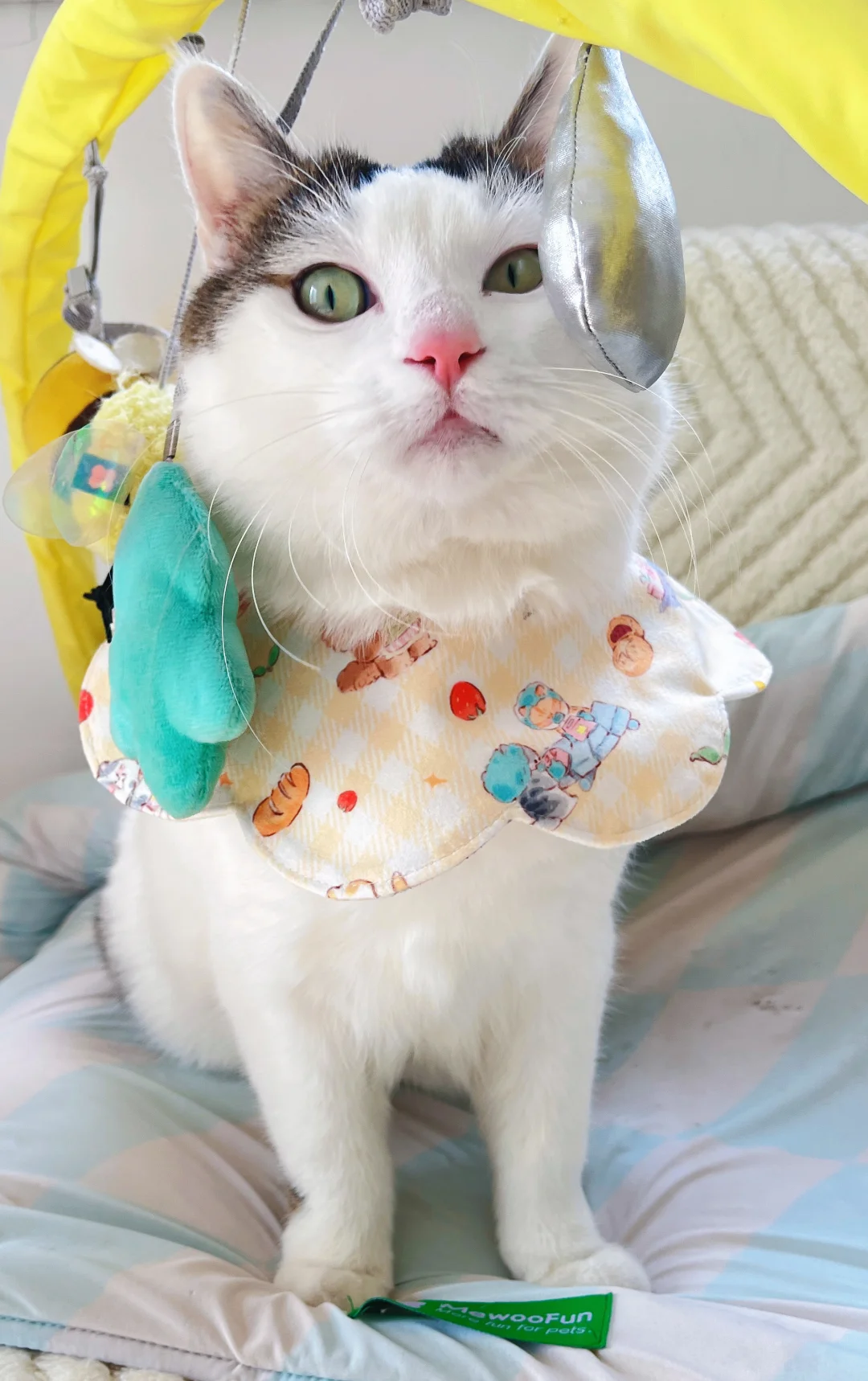 他就是我的孩子呀