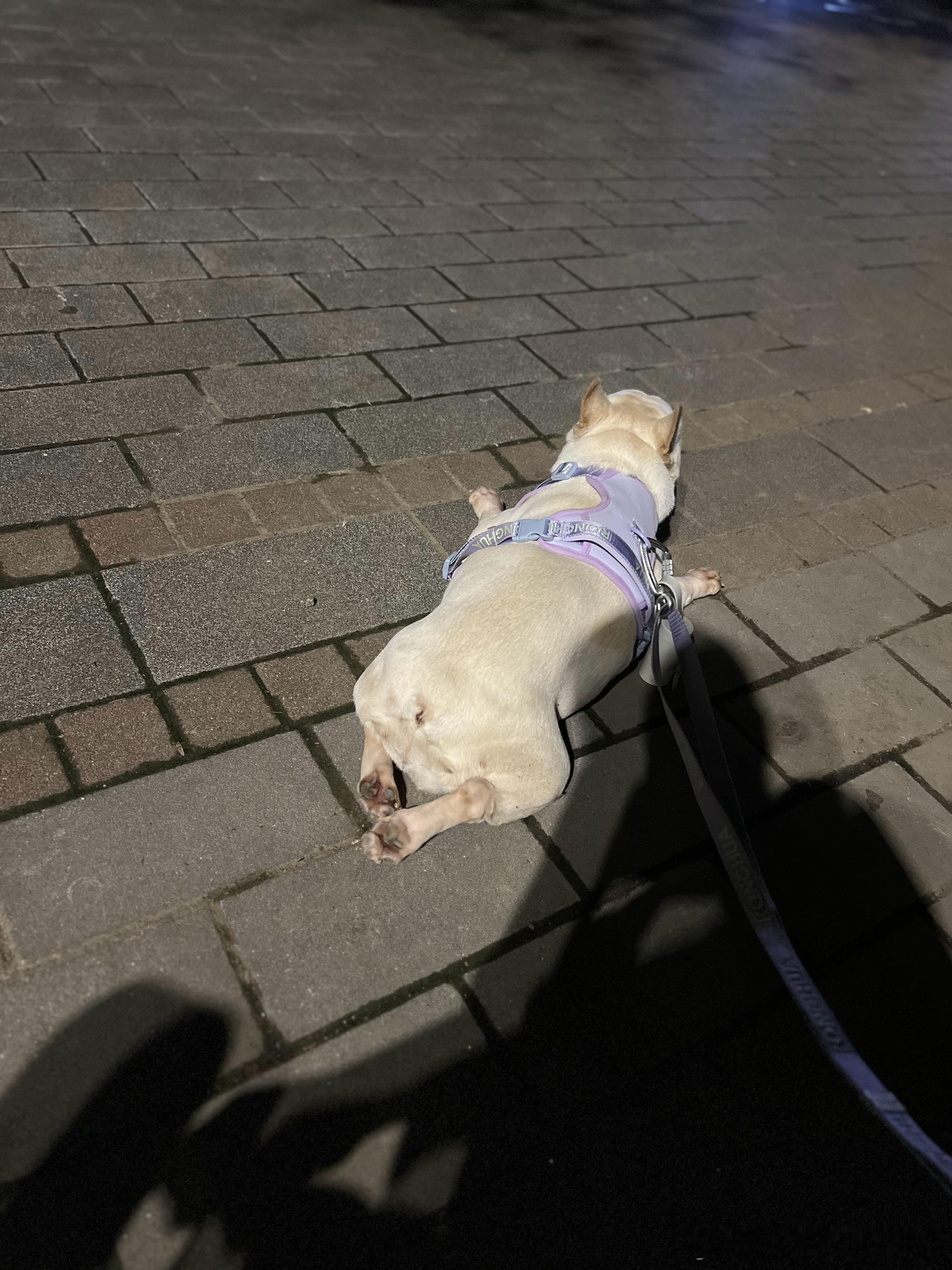 睡不着，唠会儿吗？  ​​​