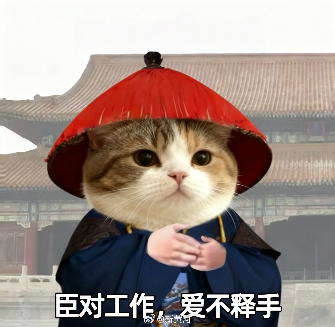 【假期余额告急！但#这周上4休3#】法定假期为5月1日（周五）至5日（周二），5