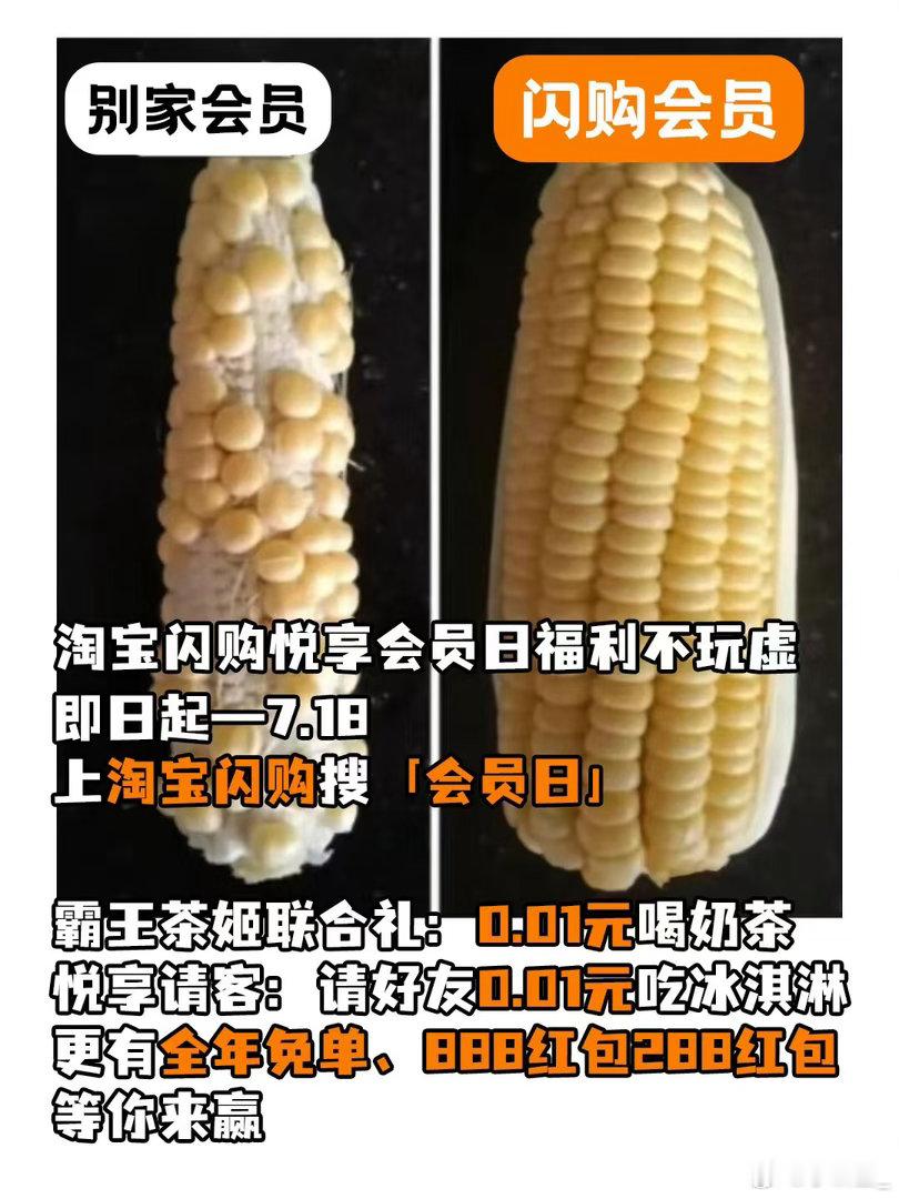 淘宝闪购会员日每月17日解锁专属权益美团会员外卖会员美团神券居家看球美食7月17
