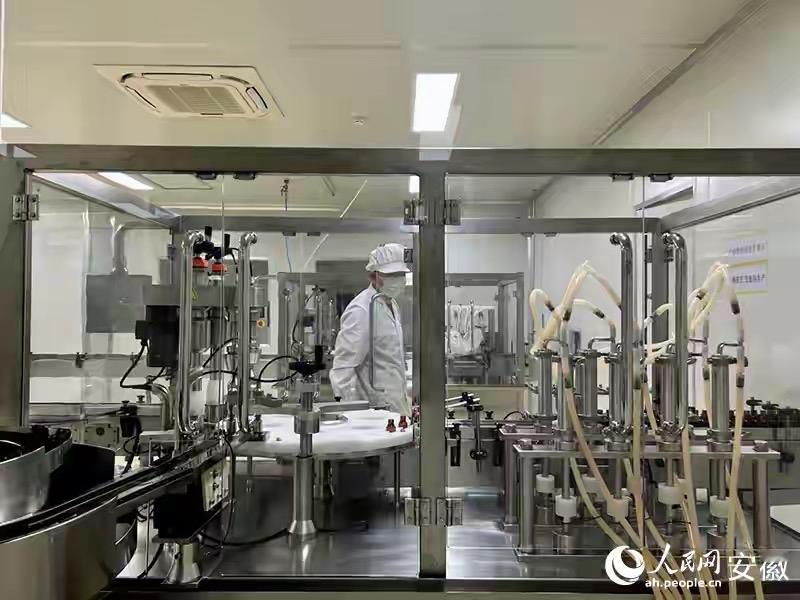 然而，在这繁忙背后，又隐藏着怎样的故事？这不仅仅是一条普通的生产线，更像是一场现