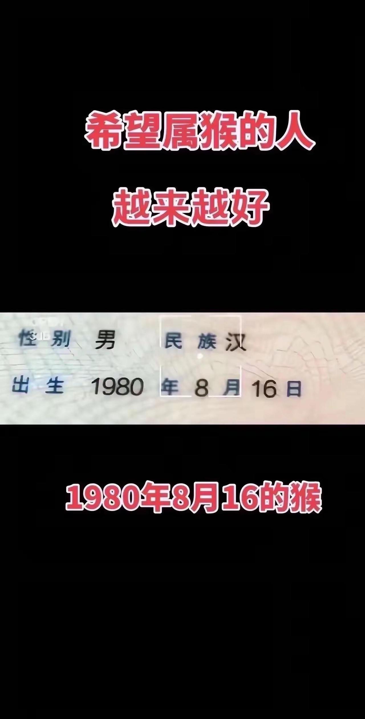 十猴九不易 80年的猴 80年的老范愿我们安好