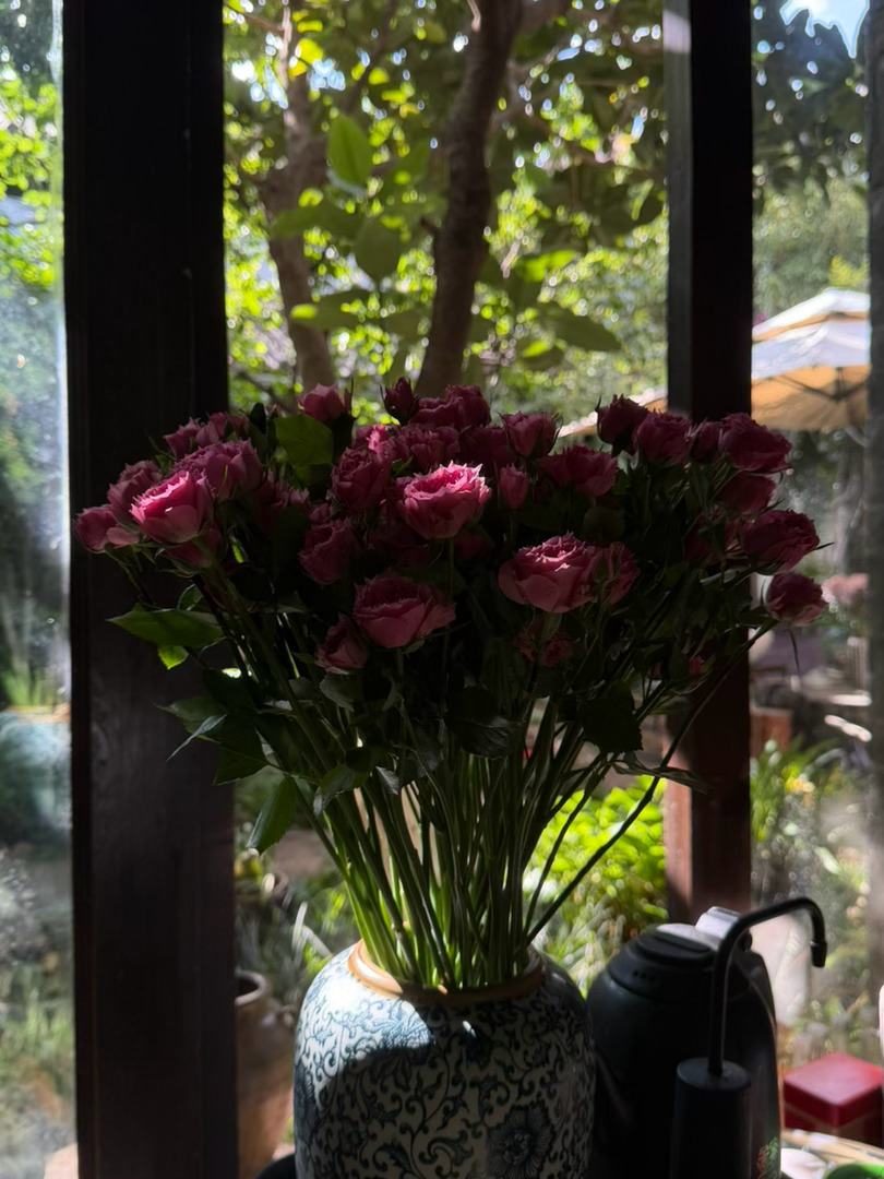 生活在云南的好处之一：鲜花自由。为什么这么喜欢花呢，大概是觉得她们最懂得这个一直