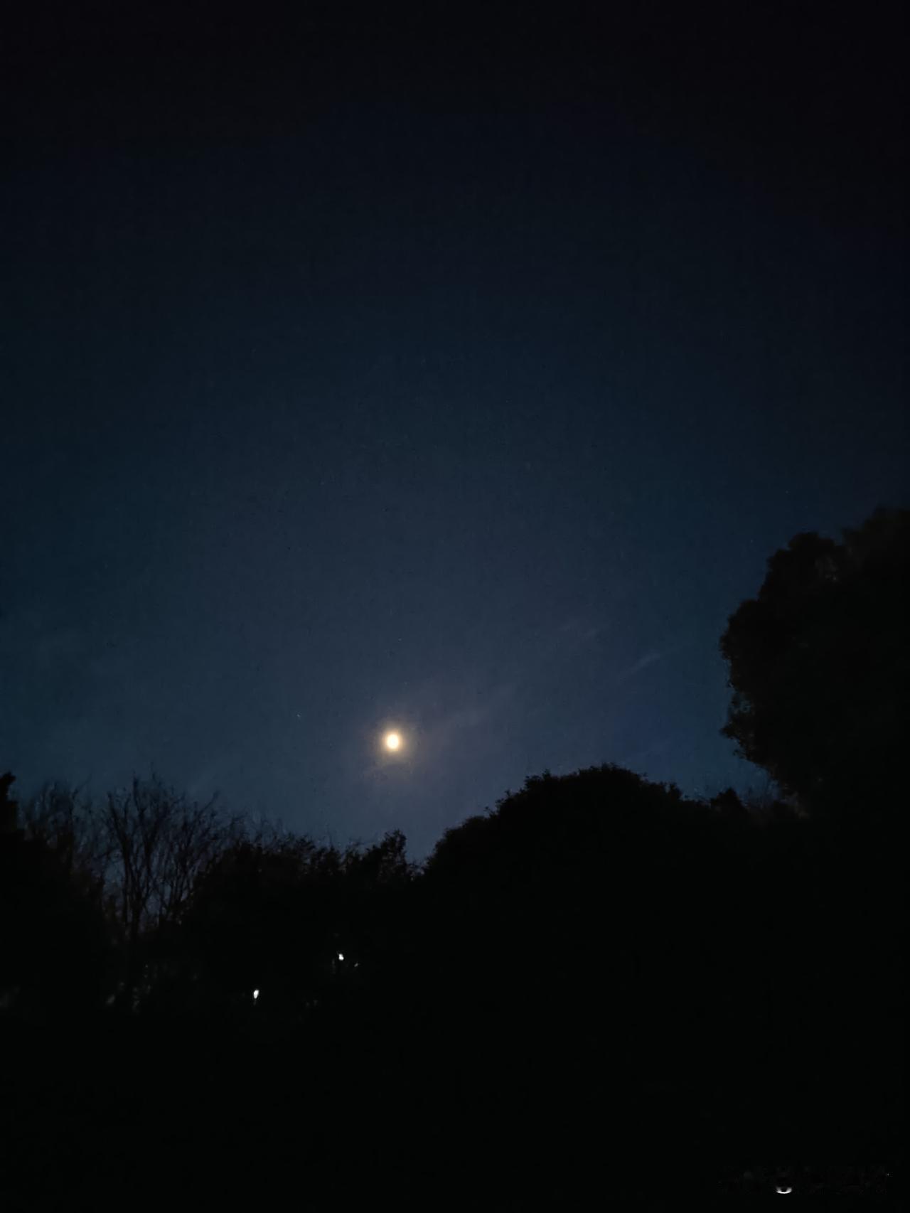 前两天因为要到单位伙食团收菜，早上六点钟就起来了，在到单位的路上拍到了难得一见的