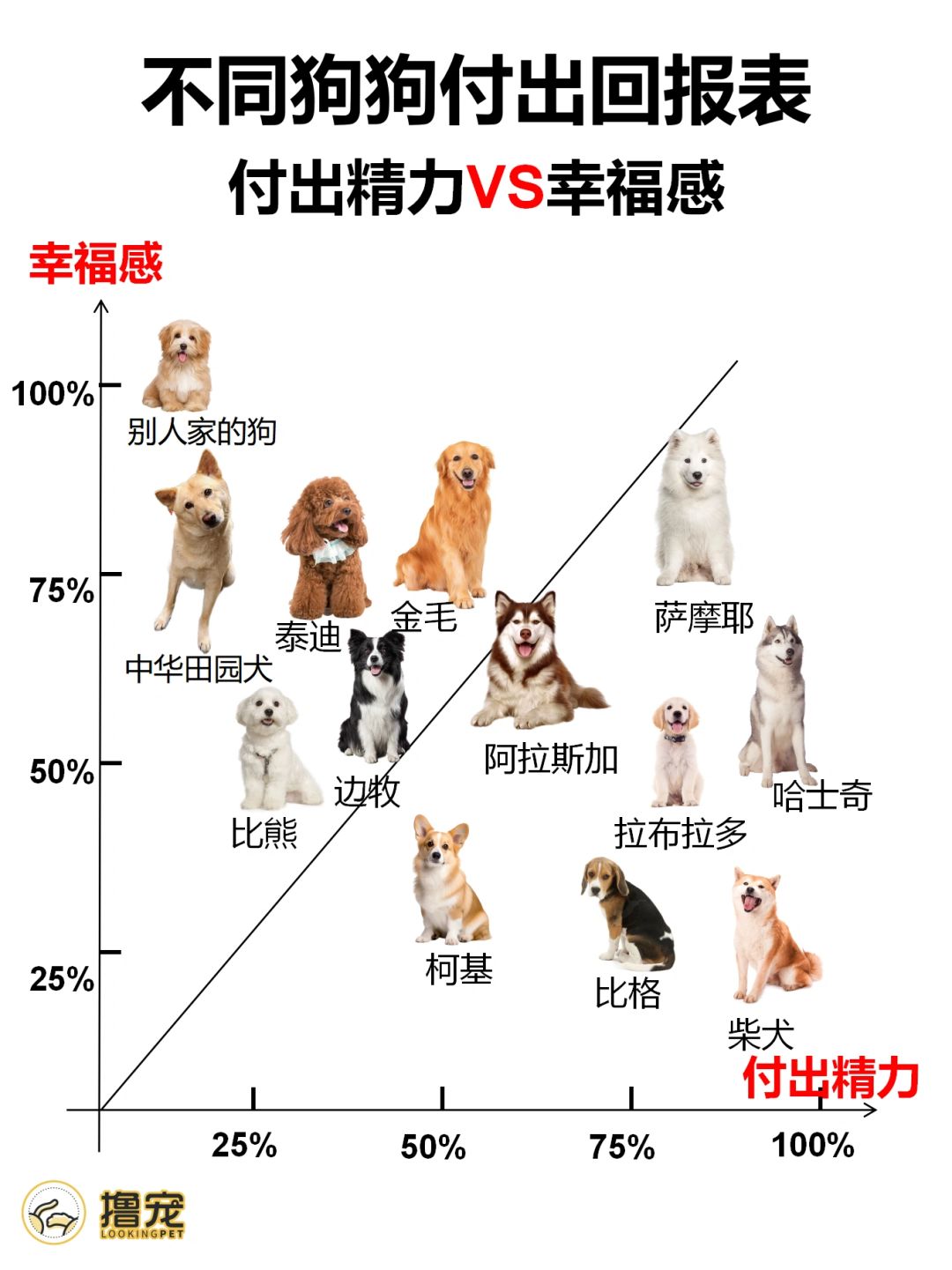养狗付出精力🆚幸福感表