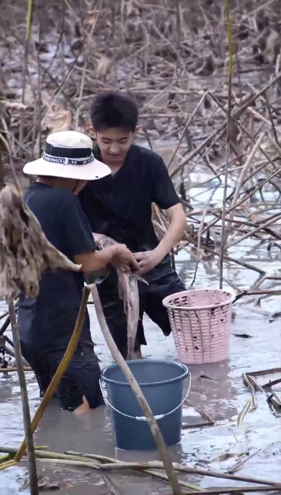 重庆一高校举办“摸鱼”活动，校方：学生们抓了近千斤鱼，食堂做成免费全鱼宴
