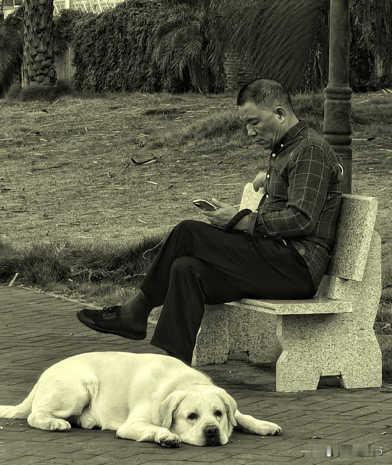 原创抓拍，一样的黑白，一样的永恒色调，更赋予画面深刻的故事。