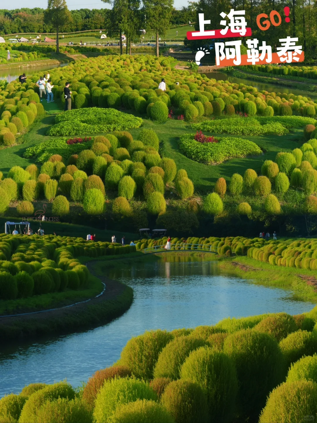 小众秘境｜去上海阿勒泰赏醉美秋色🏞️