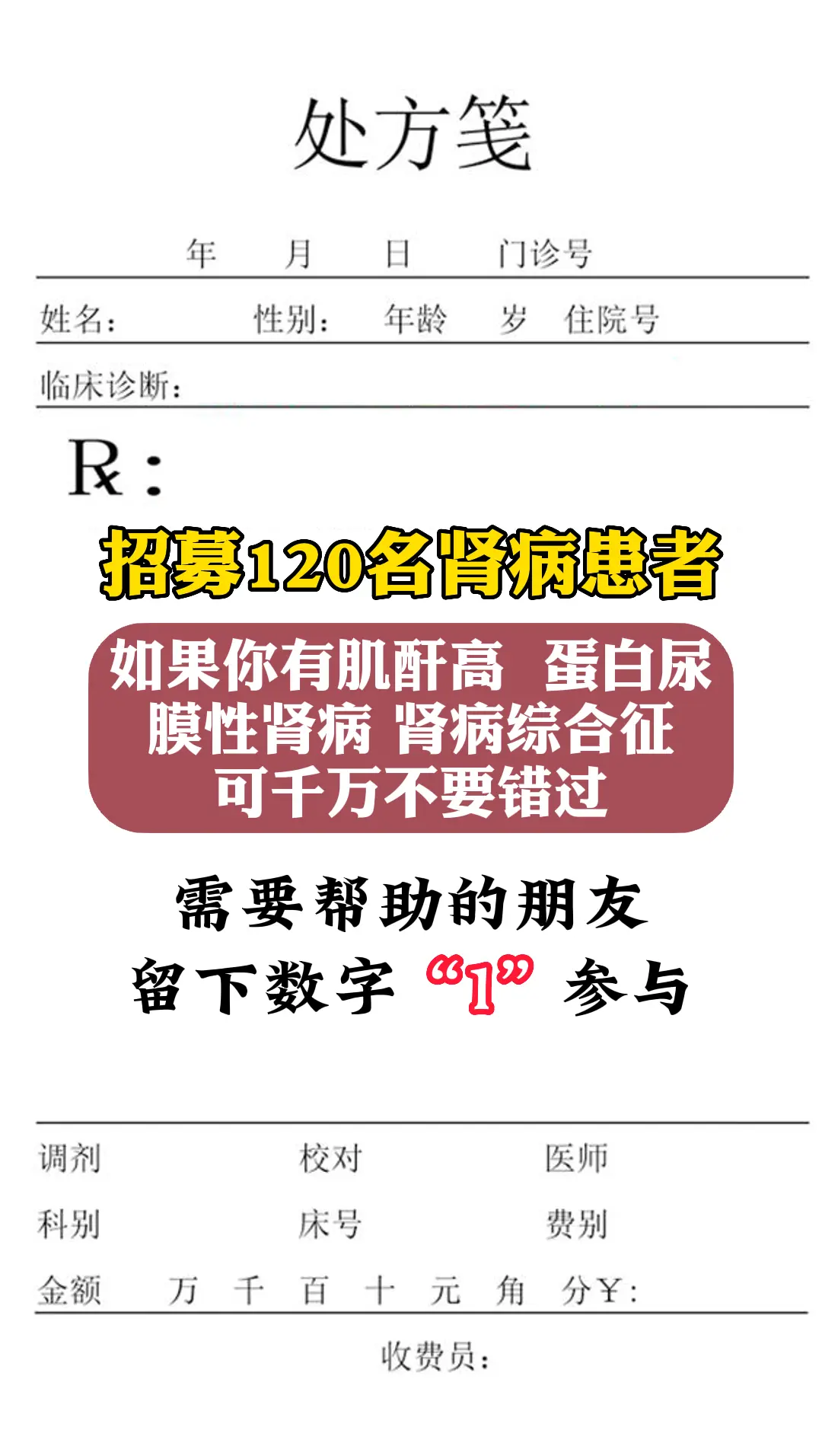 肾病 科普