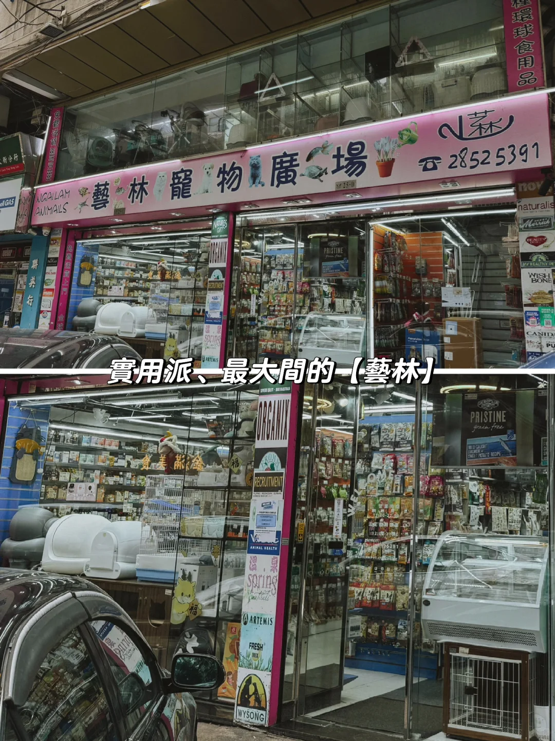 🇲🇴 | 澳門寵物主人的私藏