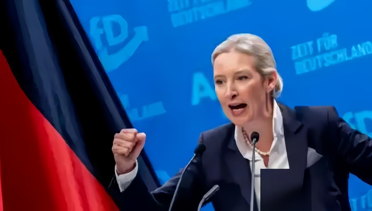 震动整个欧洲！
德国选择党党魁魏德尔，在马格德堡举行的竞选集会上表示，如果选择党