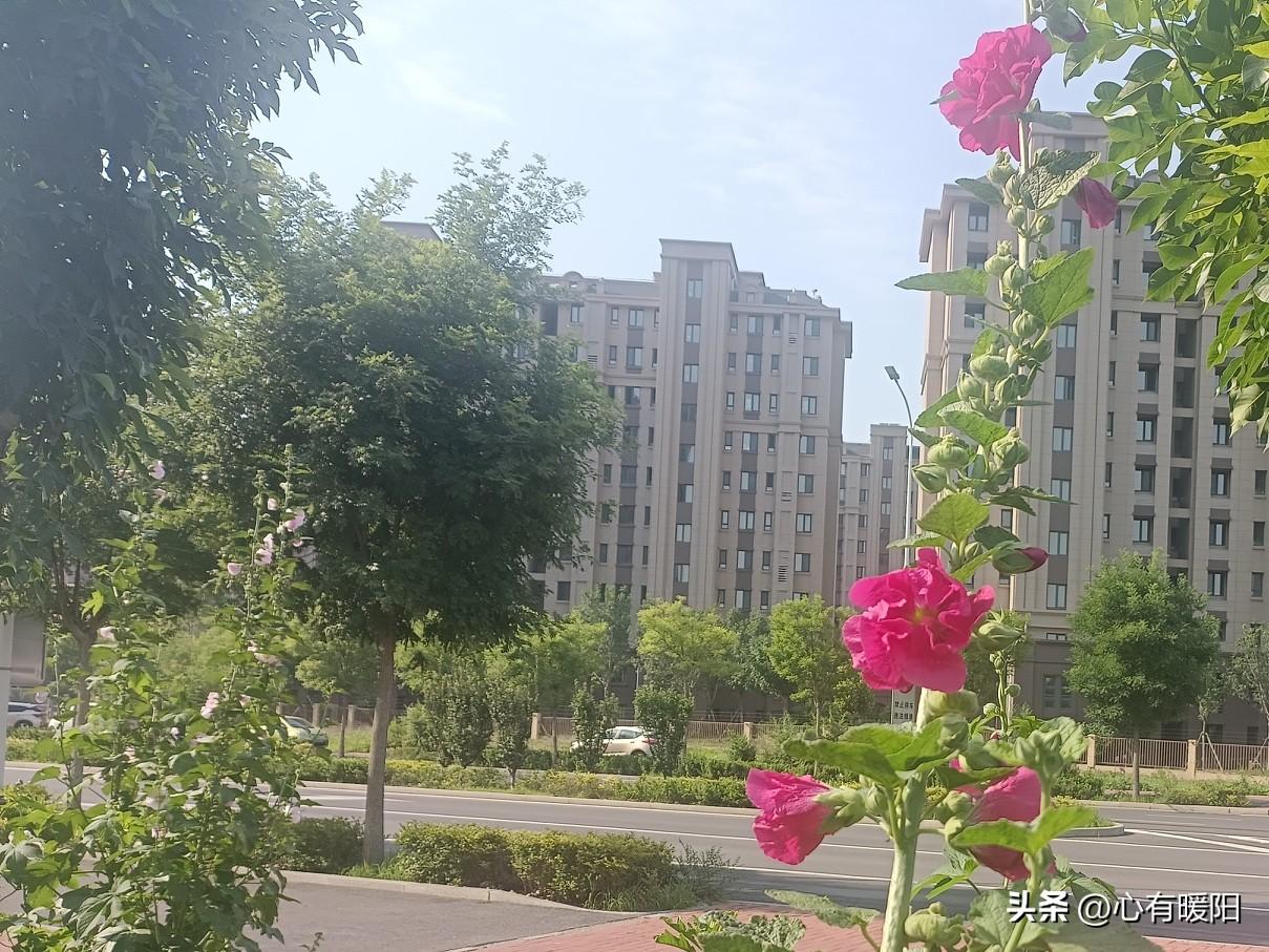 现在的恋爱,一定要物质上表现吗?不知从什么时候开始，物质成了检验爱的硬性标准。过