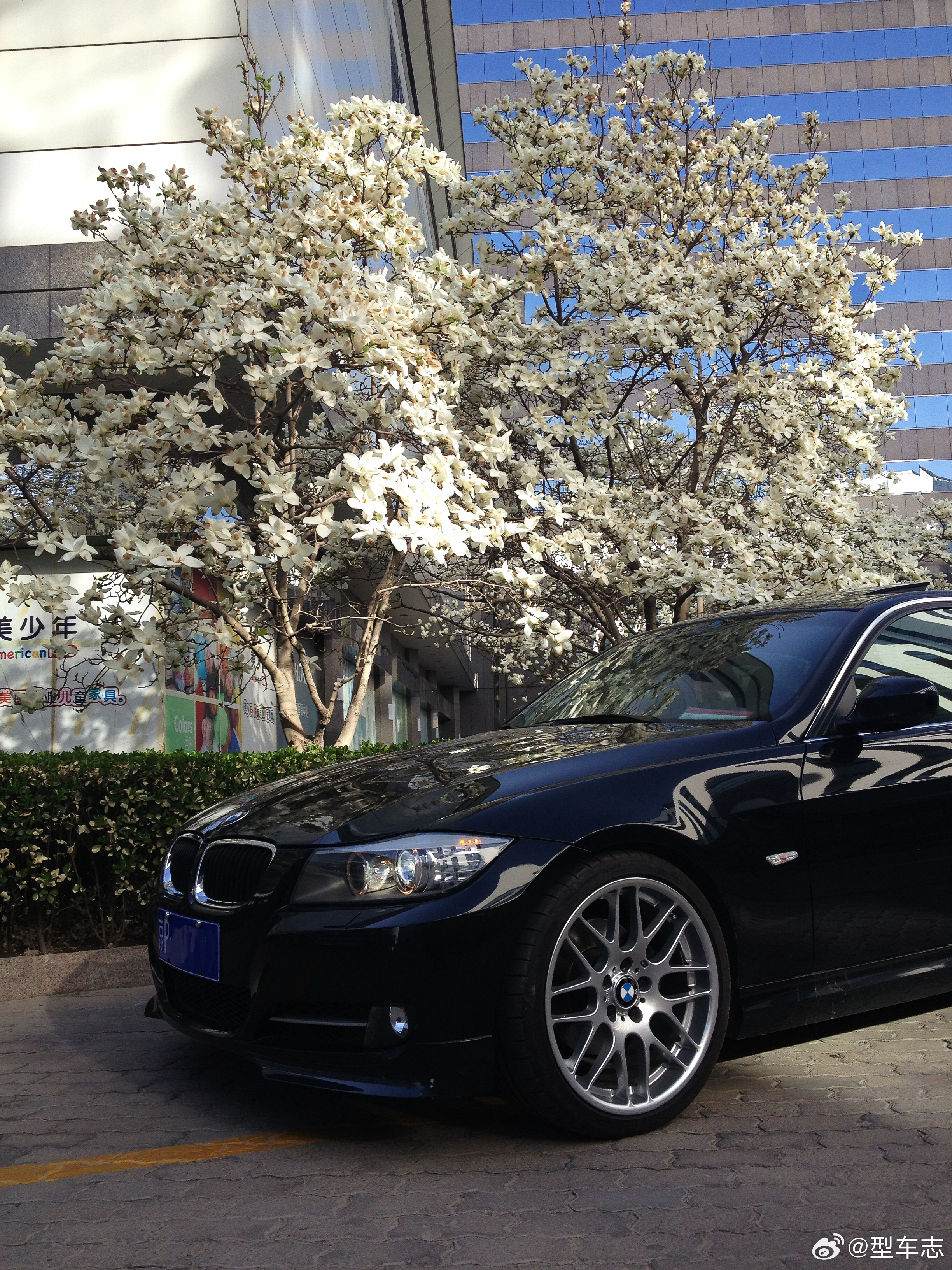 又是一年玉兰花开时，翻手机相册看到2013年给我那辆E90 325i 宝马三系拍