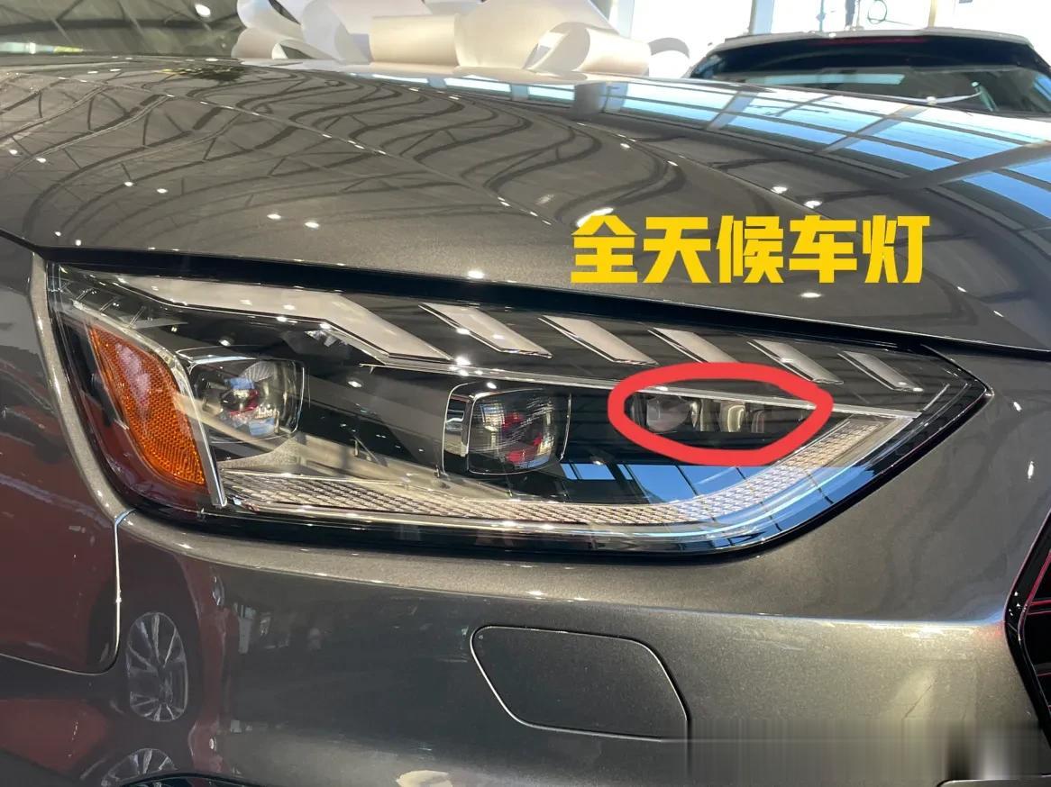 近几年很多德系车陆续取消了前雾灯，改用全天候车灯（有的叫雨雾模式）来代替。本来以