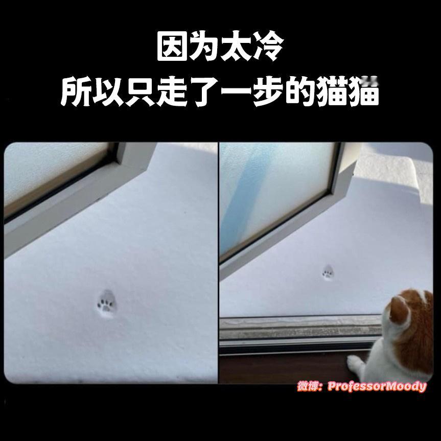 🐾🐾🐾#meme# /#笑料江湖争霸赛# ​​​